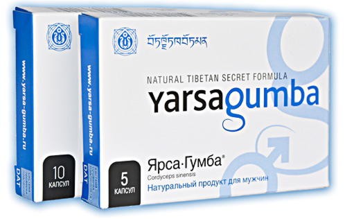 Препарат повышения потенции YarsaGumba (ЯрсаГумба) 5 капсул