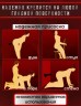 Вибратор с нагреванием Play Fun And Find Heermeng Phallus